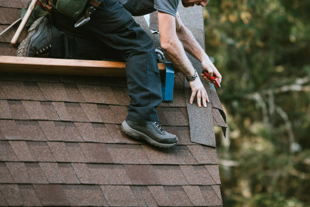 Professional Roofing Contractor in Lincoln, AL