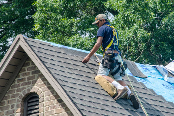 Best Roof Gutter Cleaning  in Lincoln, AL